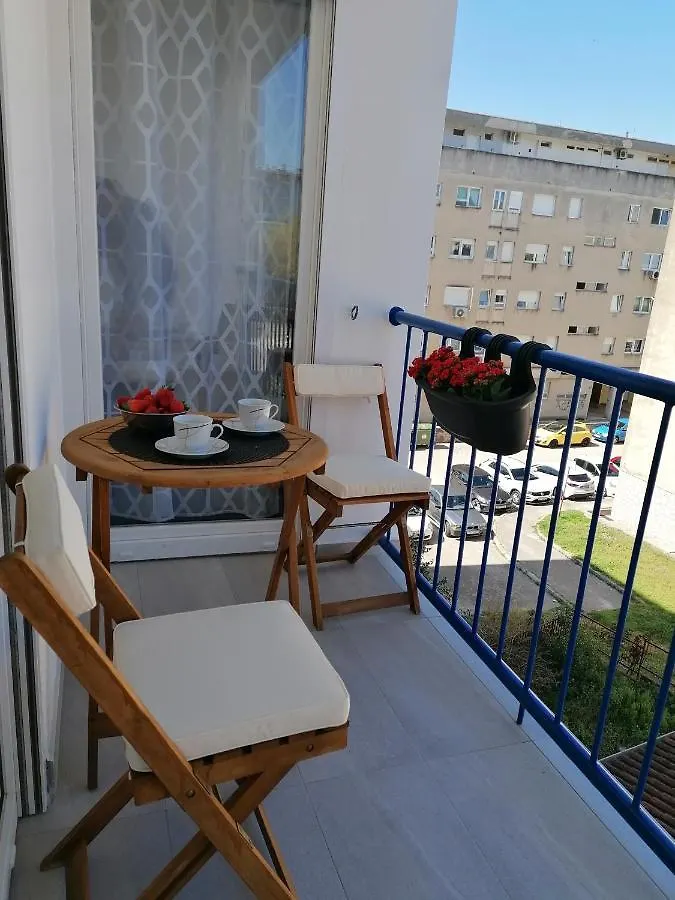 Sing Apartment Ζαντάρ